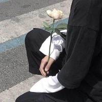 树莓淘气